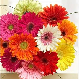 Meet your Posher, Lawanda